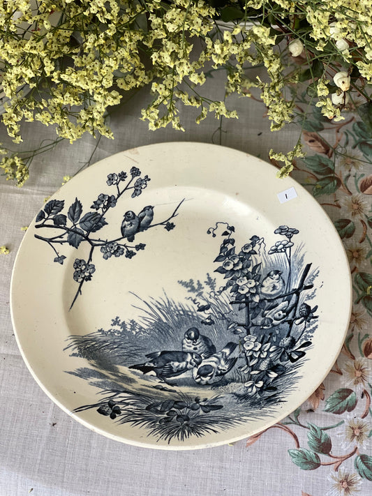 BFK Assiette motif oiseau plat céramique decoration