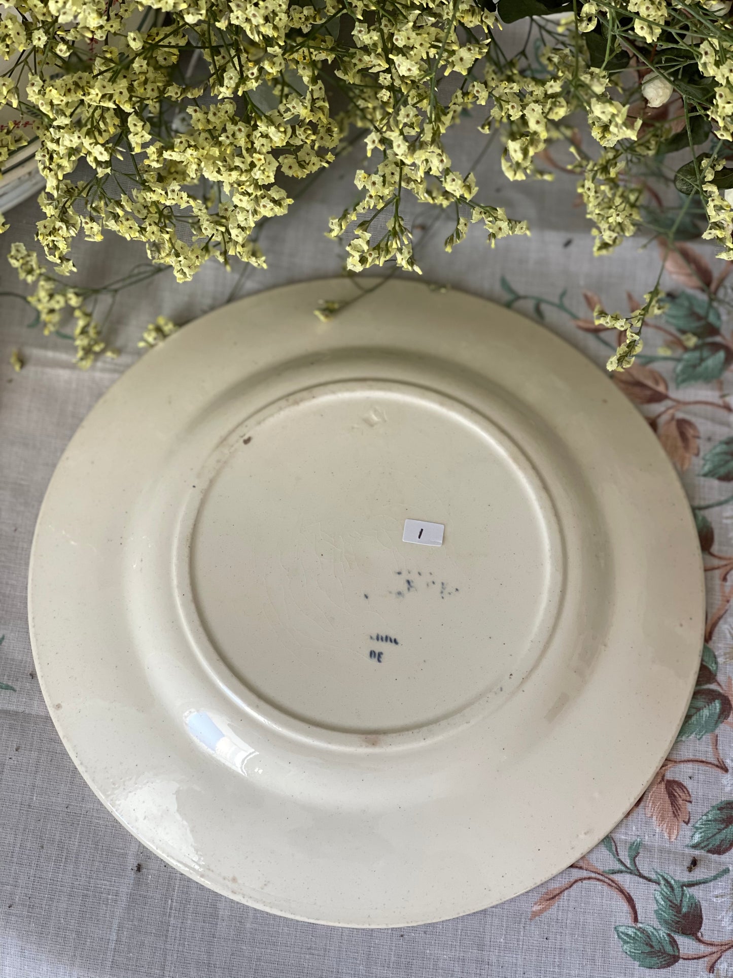 BFK Assiette motif oiseau plat céramique decoration