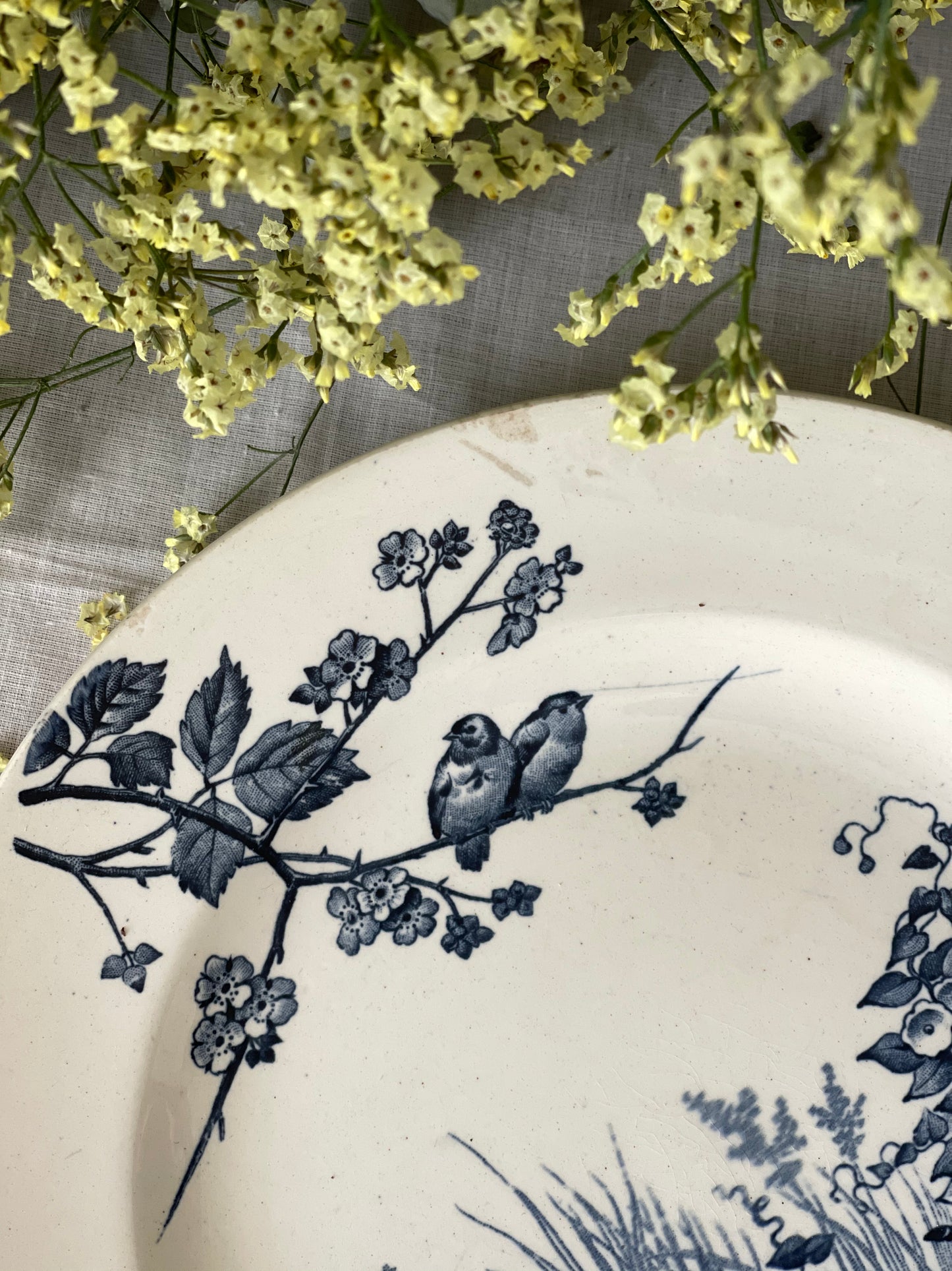 BFK Assiette motif oiseau plat céramique decoration